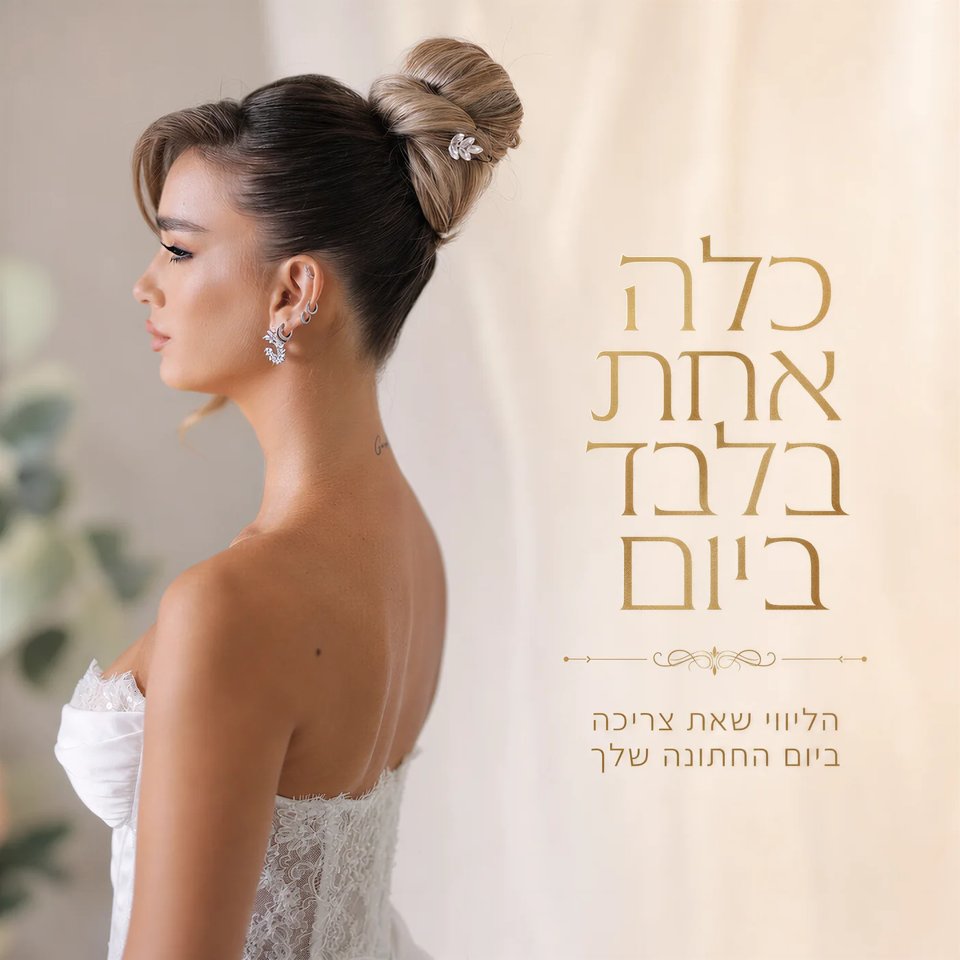 כלה אחת - שפה גרפית למותג